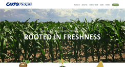 Desktop Screenshot of caitofoods.com